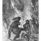 Illustration for article titled This gruesome 1889 biology book outlined the many ways animals will kill us